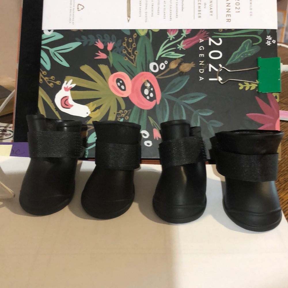 Spring Pet Doggie Rainboots